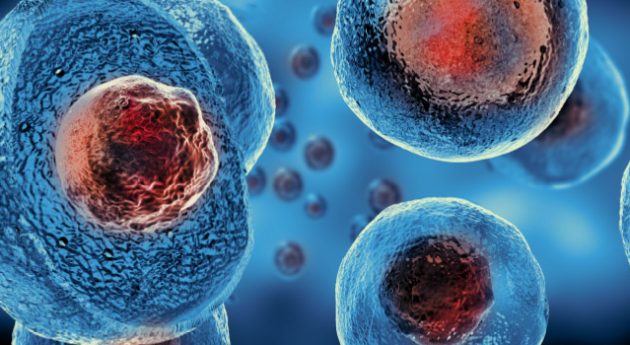 cellule staminali rigenerazione dei tessuti PRP PRF fattori di crescita dei tessuti